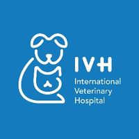 Int. Veterinary Hospital  Profile Picture