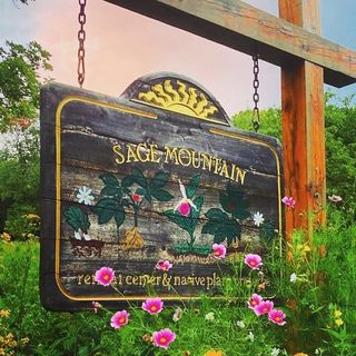 Wonderful news! In the capable hands of Emily Ruff, @sagemountainherbal is back open! 🙏🎉🌿

Thank you to everyone who supported the work of the Sanctuary through the recovery process after the July 2023 floods.

Sage Mountain Botanical Sanctuary is now open for weekend programs, private retreats, group bookings, and day visits for the 2024 season.

Visit the link in our bio to learn more and be sure to follow @sagemountainherbal to stay updated!

#gratitude #sagemountain #sagemountainsanctuary #nature #vermontlife https://sagemountain.com/