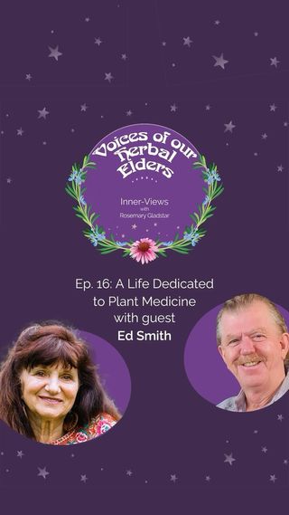 “If you really want to truly be an herbalist, you gotta hang out with the plants!” @herbal_ed 

This episode is not to be missed! I sat down with Herbal Ed Smith, cofounder of @herbpharm, @americanherbalistsguild, @unitedplantsavers, and @ahpa1982 as well as advisory board member to @herbalgramabc, to learn from his 50+ years of experience as a cornerstone in the revitalization of American herbalism. Ed is not only a wealth of wisdom, he’s a great storyteller! 

Tap the link in our bio to listen to the latest episode now! 

#herbaled #herbaledsmith #herbpharm #herbalist #herbalism #herbs #plantmedicine #voicesofourherbalelders #scienceandartofherbalism #rosemarygladstar