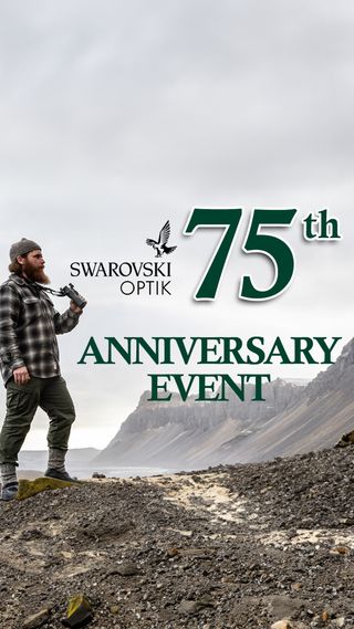 Join us in celebrating Swarovski Optik's 75th Anniversary! Renowned for their exceptional clarity and durability, these optics are perfect for birdwatching, and nature observation. Enjoy the best promotion we have ever seen on your favorite Swarovski for a limited time! Featured items include the NL Pure binoculars, Modular Spotting Scopes, and more, all known for their superior performance. Swarovski Optik has set the standard for innovation and quality in the optics industry for 75 years.

Call us: 800-720-9625
Shop online(link in bio): https://www.sportoptics.com/swarovski-75th-anniversary-event.html