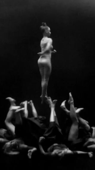 RELEASED TODAY: @alekdebicz's composition "Cedar Tree" from his latest album "Magnolia" provides the starting point for an extraordinary film illustrating the beauty that can blossom even in the darkest places.⁣
⁣
In this story of an unequal struggle between two opposing forces, light breaks through the darkness to form a ‘human tree’ - the ‘Cedar Tree’.⁣
⁣
‘Cedar Tree’ features four voices (all recorded by Jakub Józef Orliński), plus piano, horn, guitar, and synthesiser. #contemporaryclassical #coutnertenor #dance⁣
⁣
🎞️ 🎧 Listen and watch links in bio⁣
⁣
⁣