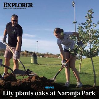 Before it got too hot July 3, the McCally family gloved up and dug in at Oro Valley’s Naranja Park.

The McCallys — Oro Valley residents Ryan and Ashley, son Liam, 7, and daughter Lily, 13 – planted three oak trees along a small, grassy hill just east of the Naranja playground.

Planting of trees culminated one part of Lily’s Silver Award project for the Girl Scouts of Southern Arizona. She raised the money to buy the trees, and arranged for their planting, to do something of long-lasting benefit for her hometown.

🔎: Read the full story at tucsonlocalmedia.com/explorernews
📸: Dave Perry/Submitted

#explorernewspaper #explorernews #explorer #orovalley #orovalleyaz #orovalleyarizona #orovalleynews #naranjapark #naranja