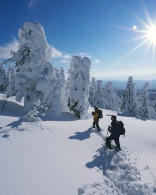 A trek through the deep snowscapes of Tohoku, followed by a rejuvenating soak in an onsen, a feast of local cuisine, and a warm sip of delicious sake to end the day—sounds like a perfect winter adventure 🍶❄️

It’s worth strapping on those snowshoes to fully enjoy this enchanting setting🥾

👉Read more about the Tohoku Hot Spring Snow Tour via the link in our bio.

#sustainabletravel #slowtravel #conscioustravel #greentravel #slowtourism #wanderlust #responsibletourism #travelinspiration #visitjapan #visittohoku #snowhike #snowtour #wintervacation #winterwonderland #offthebeatenpath #offthebeatentrack #walkjapan