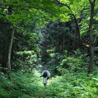 Our Self-guided Basho Wayfarer, six-days walking in the footsteps of the famous poet Matsuo Basho through Tohoku, has been featured in the @sydneymorningherald's list of the world’s ten greatest adventure holidays 🧳

👉 Head to the link in our bio for the full list, or visit our website for the detailed tour itinerary!

#sustainabletravel #slowtravel #conscioustravel #greentravel #slowtourism #wanderlust #responsibletourism #travelinspiration #hiking #hikingadventure #offthebeatenpath #offthebeatentrack #tohoku #visittohoku #matsuobasho #walkjapan