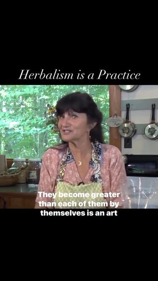 Herbalism is a practice. The more we practice, the better we get. Join Rosemary in The Science & Art of Herbalism course where you’ll get plenty of real-world practice! Learn more at the link in our bio @rosemarygladstar 

Excerpted from Rosemary’s Remedies, included in the Science & Art of Herbalism course (available at the link in our bio) and filmed by @learningherbs

https://scienceandartofherbalism.com/product/the-classic-printed-plus-online-course/

#herbalism #herbalmedicine #herbalist #botanicalmedicine #plantmedicine #medicinemaking #buddingherbalist #herbaleducation #herbalgathering #herbalcertification #herbaltraining #medicinalherbs #scienceandartofherbalism #rosemarygladstar #hedgewitch #kitchenwitch #cottagecore #survivalskills