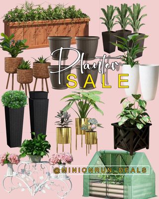 🛒C0mment the word "SHOP" and I will directly dm you the l!nk & details💚
Lots of planters are on sale for the season! 
➡️ Shop Here: https://bit.ly/3DyDafG

▫️▫️▫️▫️▫️▫️▫️▫️▫️▫️▫️
NEVER MISS OUT ON A DEAL!
✅ Join my F@cebook Group
✅ Join my Telegr@m channel
✅All l!nks are in my b!o & stories
⁣⁣✅️ ⁣Follow my backup acct @minionhot_deals 
l!nks are affiliated.  #couponcommunity #discount #deals #clearance