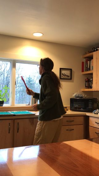 And this is how we prep for a webinar around here.* 💃😂

*No gummies were consumed in the making of this video. 

P. S. It’s not too late to join me for tonight's Seed to Harvest Webinar. https://heart-stone.com/hows-it-growing/

P.P.S. The disclaimer. There’s nothing for sale here, folks. 

#cbd #legalhemp #seedtoharvest #grow! #herbs #herbalism #herbalist #herbschool #heartstonecenter #tammisweet