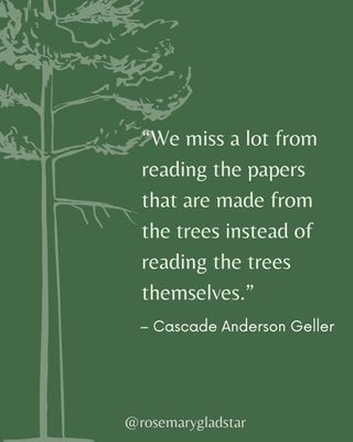 This Saturday is Herb Day — a time to honor the plants that nourish and heal, and the people who have carried their wisdom forward.

One of those torchbearers was Cascade Anderson Geller, a beloved herbalist, teacher, and earth advocate who passed on Herb Day in 2013.

Cascade believed that some of our greatest teachers are “the common people who live close to the Earth.” Her legacy lives on in the herbs she loved — and in those of us who continue her work.

This Herb Day, we invite you to walk forward with the torch. What have the plants taught you?

Explore Cascade’s teachings in A Lifetime of Herbal Wisdom—tap the link in our bio @rosemarygladstar to learn more!

#HerbDay #CascadeAndersonGeller #Herbalism #PlantWisdom #RosemaryGladstar #ALifetimeOfHerbalWisdom #ScienceAndArtOfHerbalism

https://alifetimeofherbalwisdom.com/