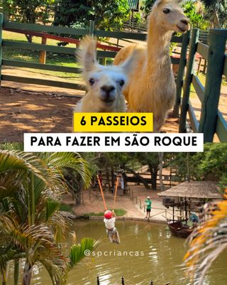 BATE-VOLTA EM SÃO ROQUE

Uma cidade cheia de atrações, perfeita pra fazer aquele bate-volta em família é São Roque! Selecionamos algumas atrações que você pode visitar:

📌 @viladonpatto - Reúne o melhor da gastronomia portuguesa e italiana, além de muita diversão para a criançada.

📌 @aldeiaparqueepousada - Conta com parque aquático e opções de esportes radicais como arvorismo e tirolesa, além de fazendinha. 

📌 @cantinatialina - O restaurante oferece gastronomia italiana e diversão! Tem tirolesa com 180 metros, arvorismo, passeio de pônei e mais!
 
📌 @fazendaangolana - O local oferece um ambiente típico da roça com árvores, horta, animais, além de atividades ao ar livre.
 
📌 @quintadoolivardo - Um restaurante de comida portuguesa, que oferece um circuito de aventura com atividades de arvorismo, pedalinho, escalada e tirolesa

📌 @vinicola.casadaarvore - A vinícola possibilita o contato direto com a natureza. Os visitantes podem fazer um passeio pela parreira para aprender mais sobre as uvas, e também encontram um restaurante.

👉👉 Comente PASSEIO e receba os detalhes sobre os passeios por direct!
.
.
.
.
. 
.
Imagens: Reprodução / Instagram
.
#passear #passeioemfamilia #diversaoemfamilia #oquefazeremsp #spcriancas #sãoroque
.
https://saopauloparacriancas.com.br/atracoes-bate-volta-passeios-sao-roque/