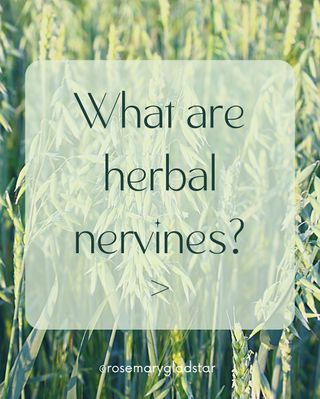 Some herbs feel like dear old friends—always there when we need a little calm, a quiet moment, or a steadying hand. 🌿

We call these our nervines, and they’ve long been cherished for their ability to soothe the nervous system and bring us back to center.

In this post, I’ve shared a few of my favorites—plants I’ve leaned on for years in times of stress and uncertainty.

If you feel called to learn more, I’d be delighted to have you join me in The Science & Art of Herbalism, my home study course rooted in decades of teaching and plant connection.

And just now, the course is on sale—with over $270 in savings, a signed copy of my book Medicinal Herbs: A Beginner’s Guide, and a special live class on Herbs for Everyday Health included as gifts (a total savings of over $330)!

💚 Tap the link in bio or comment “nervines” and we’ll send you the details.

#herbalism #nervines #plantallies #rosemarygladstar #herbalwisdom #thescienceandartofherbalism

https://scienceandartofherbalism.com/product/the-classic-printed-plus-online-course/