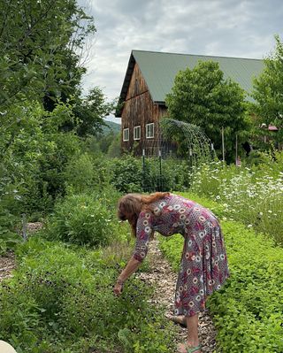 Photo dump from the most beautiful Foraging & Feasting weekend with Nancy and Gracie Phillips at @heartsongfarm.nh! 

If you haven’t attended an event hosted by Nancy and Gracie, we can’t recommend it enough! This coming weekend is Rest, Renew, & Connect…and don’t we all need a little of that right now?

Tap the link in our bio @rosemarygladstar or comment RENEW and we’ll DM you the link directly!

Slides:
1. Rosemary showing us Heartsease 
2. Heartsong Farm welcome sign
3. Nancy Phillips leading a plant walk
4. Gracie Phillips joyfully greeting us
5. Rosemary, Gracie, and Nancy
6. A glorious foraged salad
7. Rosemary’s famous Nettle spanakopita 
8. Pure beauty (in the form of foraged blossoms)
9. More foraged (and garden) goodness
10. Rosemary tastes delicious treats made by attendees
11. On a plant walk
12. Beautiful @heartsongfarm.nh 

📸 tagged in photos 

https://heartsongfarmwellness.com/retreats/