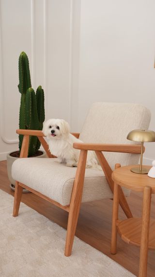 Şimdi sıra sende! 🎉 İpuçlarını bizimle paylaş! 💫

Sonbahar mevsimi sonunda geldi! Havalar serinlemeye başladı… 🍁 Biz bu mevsimde işine yarayacak dekorasyon fikirlerini bir araya getirdik. Senin düşüncelerini de çok merak ediyoruz. 🤗

Peki, sen neler eklemek istersin? 🌿

Sonbahar ruhunu evine taşımak için normod.com’a tıkla! 🔗