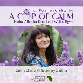 💚 Rosemary’s commitment has always been to share herbal wisdom at a price that makes learning accessible. From time to time, we make small adjustments so we can continue offering classes with care and sustainability. A few class prices will rise tomorrow at midnight.

You can still join today at the current price. 🌱 Tap the link in our bio @rosemarygladstar to get the classes now.

https://scienceandartofherbalism.com/shop/