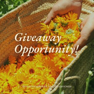 This dear lady, Charis Lindrooth, is the founder of @botanicwise and one of our Plants for the People Summit sponsors. And we have amazing news to share!

Charis has given us 3 tickets to her Women’s Herbal Gathering event in Kempton, PA Sept 26-28 to share with you all…so let’s have a little fun!

Follow @botanicwise and tag someone you know would love to go too!

We’ll randomly select 3 winners on Thursday, Sept 18 at 5pm ET. 

P.S. Three of our summit speakers are also speaking at the Women’s Herbal Gathering! If you want a chance to meet them in person, tap the link in our bio to register for the Women’s Herbal Gathering!

Thank you @botanicwise for your support for herbalism and community care!

Open to U.S. residents, 18+. No purchase necessary. Lodging, food, and travel not included. Void where prohibited. Not sponsored, endorsed, or administered by Meta or Instagram. By entering, you release Meta/Instagram of all responsibility.

https://botanicwise.com/whg