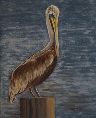 New & Available: “The Best Perch" 

This pelican seems to be bragging about his spot as “the best” spot. And it is a good spot, it seems, with an unobstructed view of any food around. Thanks to Katie Magil Waters for her neat photo and allowing me to paint it.

(8x10, oil) AVAILABLE & READY TO SHIP
https://www.prudyweaver.com/workszoom/6096720/the-best-perch

SUBSCRIBE for a weekly preview of new work in your email inbox → link in bio

#oilpaintings #interiordesign #interiordecor #interiors #landscapepainting #artistlife #artistsoninstagram #artwork #artist #fineart #art #homedecor #prudyweaverart #oiloncanvas #oillandscape #painting #paintings #paintingforsale #charlotteart #coastal #marsh #beachscenes #marshpainting #baldheadisland #bhi