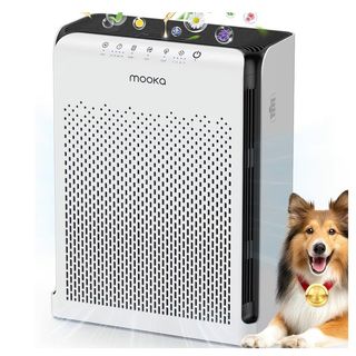 50% off use code 5F85IF3F

Lynx in my IG byeo to shop tap Amazon deals
🔗Scroll to Todays deal

❗️Remember pricing/inventory can change anytime 

❕ ᴠɪᴘ ᴅᴇᴀʟꜱ ꜰᴏʀ ʏᴏᴜ ❕

⭐️ Join my Telegram for VIP deals - lynk in bio, you’ll see it  in caps at the top.
⭐️ Turn on notifications for my page 🫶🏼
⭐️ LMK if you score! I love seeing your haul pics 🥰 #ad