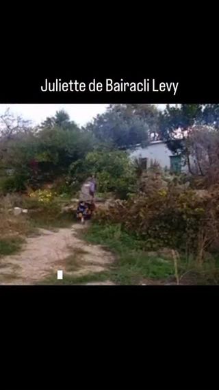 I “met” Juliette de Bairacli Levy in the Sonoma County library, where I stumbled across her book Traveler’s Joy. I was immediately taken with it and with her. 

Who was this Gypsy scholar who wandered the world with her hounds, her bags of herbs, and small children by her side?

So I decided to write to her.

I was just 22 when I sent that passionate letter. I don’t remember what I wrote, but I’m sure I bared my heart, sharing with Juliette my love of the green world. 

Several months later, much to my surprise, I received a lovely reply. And thus began a friendship that has changed my life.

Many renowned herbalists and healers credit Juliette with being their inspiration. 

She certainly was mine. 

She shied away from things heavily processed, standardized, or fancily packaged. Juliette’s success rested in her ability to care, her compassion, an inner knowing and awareness. 

She relied on earth’s simplest recipes and used plants she found growing nearby and these she infused with her own touch of wisdom and passion.

This 🎥is excerpted from the wonderful documentary film “Juliette of the Herbs” by filmmaker Tish Streeten (@tulsiqueenofherbs). If you haven’t seen the full film yet, be sure to watch it!

Link to watch the film is in our bio. 

#rosemarygladstar #scienceandartofherbalism #herbalist #juliettedebairaclilevy #julietteoftheherbs

https://www.mabfilms.org/juliette-of-the-herbs