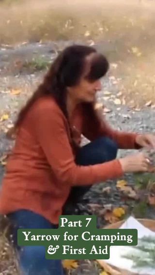 One of my favorite herbs to have on hand is Yarrow. It helps relieve cramps—including menstrual cramps. And it’s one of the most effective herbs for bleeding, internal and external. A simple yet powerful herb to keep in your first aid kits. 

If you’d like to learn more about how to work with Yarrow—and many other herbs—my home study course, The Science & Art of Herbalism is a great place to dive in!

This 150+hour program fits into your lifestyle as you need it to. And, one of my favorite parts of this course is our homework option! You will have the option to submit homework (don’t worry—it’s more like “fun work”!) Your homework is reviewed by our team of practicing herbalists who will give feedback and guide you as learn!

The Science & Art of Herbalism is on sale right now—save $300 on your enrollment! Comment ‘Yarrow’ and I’ll dm you the link. 

Filmed at @sagemountainherbal 

https://scienceandartofherbalism.com/product/the-classic-printed-plus-online-course/