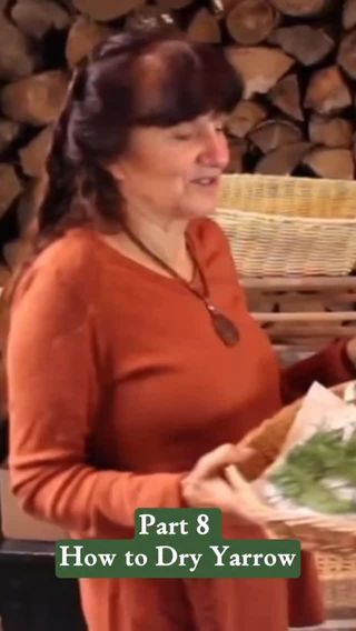 Continuing our focus on Yarrow…how to dry Yarrow! Plus some important things to look out for. 

Learn more about harvesting, drying, and making your own remedies in my home study course, The Science & Art of Herbalism. It’s on sale right now and for a limited time you can save $300 on your enrollment!

Tap the link in my bio @rosemarygladstar to register now! 

Filmed at @sagemountainherbal 

https://scienceandartofherbalism.com/product/the-classic-printed-plus-online-course/