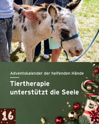 🦙 Die tiergestützte Therapie schenkt bewegende und schöne Momente, die unseren Patient*innen Mut und Kraft geben, Stress abbauen und positive Gefühle entstehen lassen. 

Der Umgang mit Tieren als vertrauensbildende Maßnahme kann gerade bei psychischen Erkrankungen ein wichtiger Schritt im Behandlungsprozess sein. Danke an alle flauschigen Vierbeiner und ihre Besitzer*innen, dass sie unseren Patient*innen so viel Freude bereiten 🤎

In unserer Klinik für Psychiatrie und Psychotherapie ist die tiergestützte Therapie ein wichtiger und konstanter Bestandteil. Auch in der Klinik für Kinder- und Jugendmedizin soll diese Therapieform öfter eingebunden werden, was durch Spenden möglich gemacht wird. 

Weitere Informationen dazu findet ihr unter dem Link in der Bio 🔗