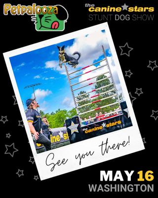 📢 Washington! The Canine Stars will be at Auburn's Pet Palooza on Sat May 16, 2026 in Auburn, WA!

Petpalooza is a FREE event for pet lovers and a special day for your four-legged family member!

The Canine Stars Stunt Dog Show features our team of RESCUED dogs performing incredible feats of doggie athleticism. Dog dancing, disc dogs, high jumping, agility, tricks and stunts! As seen on America's Got Talent!

More details at our website:
🔗 https://www.TheCanineStars.com/dog-show/auburn-s-pet-palooza-auburn-wa-2026

Get Tickets at:
🎟️ https://CanineStars.link/AUBURN

Auburn's Pet Palooza , Game Farm Park, 3030 R Street SE, Auburn, WA 98002

#AuburnPetpalooza #Petpalooza #AuburnWA #DogFun#CanineStars #StuntDogShow