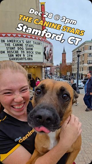 📢 CONNECTICUT!!! We’ll see you at STAMFORD PALACE THEATRE on Sun Dec 28, 2025 in Stamford, CT!

🎟️ Get tickets to come see us at 3pm here: 

🫶 caninestars.link/stamford

After the show we have Meet & Greet with the pups so make sure to come say hi! ✨

The Canine Stars features our team of RESCUED dogs and guest stars from around the world, performing incredible feats of doggie athleticism. Dog dancing, disc dogs, high jumping, agility, tricks and stunts! As seen on America’s Got Talent and Nickelodeon!

More info about this show:
https://www.thecaninestars.com/dog-show/stamford-palace-theatre-2025

https://www.palacestamford.org/
61 Atlantic St, Stamford, CT

@PalaceStamford #ThePalaceTheatreStamford #TheatreShow #Stamford #CONNECTICUT #dogshow #caninestars #stuntdogshow