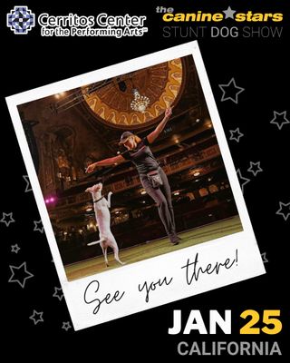 📢 CALIFORNIA!!! We'll see you at CERRITOS CENTER FOR THE PERFORMING ARTS on Sunday Jan 25, 2026 in Cerritos, CA!

🎟️Get tickets to see us at 3pm here: https://ccpa.cerritos.gov/

The Canine Stars features our team of RESCUED dogs and guest stars from around the world, performing incredible feats of doggie athleticism. Dog dancing, disc dogs, high jumping, agility, tricks and stunts! As seen on America's Got Talent and Nickelodeon!

More info about this show:
https://www.thecaninestars.com/dog-show/cerritos-center-for-the-performing-arts-2026

https://ccpa.cerritos.gov/
18000 Park Plaza Dr
Cerritos, CA

#CerritosPerformingArtsCenter #CaliforniaDogs #TheatreShow #CaliforniaFun @CerritosPerformingArtsCenter #Cerritos #CALIFORNIA #dogshow #caninestars #stuntdogshow