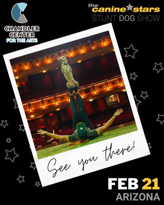 📢 Arizona! The Canine Stars will be at Chandler Center for the Arts on Sat Feb 21, 2026 in Chandler, AZ!

For the first time in Arizona!

The Canine Stars Stunt Dog Show features our team of RESCUED dogs performing incredible feats of doggie athleticism. Dog dancing, disc dogs, high jumping, agility, tricks and stunts! As seen on America's Got Talent!

More details at our website:
🔗 https://www.TheCanineStars.com/dog-show/chandler-center-for-the-arts-chandler-az-2026

Get Tickets at:
🎟️ https://CanineStars.link/CHANDLER

Chandler Center for the Arts, 250 N Arizona Ave, Chandler, AZ 85225

@ChandlerArts #TheatreShow #ChandlerCenterForTheArts
 #CanineStars #StuntDogShow