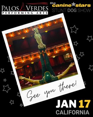 📢 CALIFORNIA!!! We'll see you at PALOS VERDES PERFORMING ARTS - NORRIS THEATRE on Saturday Jan 17, 2026 in Rolling Hills Estates, CA!

🎟️Get tickets to see us at 2pm here: https://palosverdesperformingarts.com/show-details/the-canine-stars-stunt-show

The Canine Stars features our team of RESCUED dogs and guest stars from around the world, performing incredible feats of doggie athleticism. Dog dancing, disc dogs, high jumping, agility, tricks and stunts! As seen on America's Got Talent and Nickelodeon!

More info about this show:
https://www.thecaninestars.com/dog-show/palos-verdes-performing-arts-california

https://palosverdesperformingarts.com/
27570 Norris Center Drive, Rolling Hills Estates, CA

#PalosVerdesPerformingArtsCenter #CaliforniaDogs #TheatreShow #CaliforniaFun @pvpanorristheatre  #RollingHillsEstates #CALIFORNIA #dogshow #caninestars #stuntdogshow