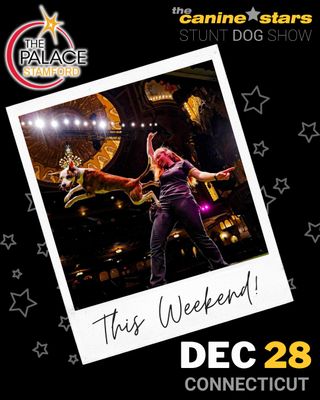 📢 CONNECTICUT!!! The Canine Stars will be at STAMFORD PALACE THEATRE on Sun Dec 28, 2025 in Stamford, CT!

🎟️ Get tickets to come see us here: caninestars.link/stamford

The Canine Stars preshow adoption event is from 1-3PM and is open to all Canine Stars ticketholders. Come early to meet some incredible adoptable dogs, connect with amazing local rescues and vendors, enjoy some face painting, and complimentary hot chocolate provided by Bartaco! Participating Rescues are: Stamford Animal Control & Care Center, Lucky Dog Refuge CT, Animals Are Family, Project Precious Rescue, Inc., Running for Rescues, and Red Leash Rescue. Vendors are: Wild Roots Animal Wellness, Cornell University Veterinary Specialists Lifeline Blood Bank, and Bartaco - Stamford. Special thanks to our Preshow Adoption Event and Show Sponsor, Magna Constrution.

The Canine Stars Stunt Dog Show features our team of RESCUED dogs and guest stars from around the world, performing incredible feats of doggie athleticism. Dog dancing, disc dogs, high jumping, agility, tricks and stunts! As seen on America's Got Talent and Nickelodeon!

More info about this event:
https://www.thecaninestars.com/dog-show/stamford-palace-theatre-2025

https://www.palacestamford.org/
61 Atlantic St, Stamford, CT
@PalaceStamford #ThePalaceTheatreStamford #TheatreShow #Stamford #CONNECTICUT #dogshow #caninestars #stuntdogshow