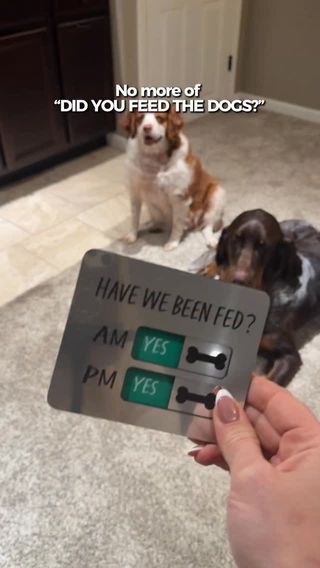 Seriously, a daily question in our house…did you feed the dogs? Did YOU feed the dogs?😂 

➡️Comment “NEED” and I’ll send you a message with the link to my exact dog chart magnet. It also comes with adhesive if you do not want to use the magnet part of it.
✨Make sure you check to see that you are following me before you request the link or it might not let me send one to you:) 

#amazon #amazonpets #dogsofinstagram #dogfeedingchart #dogproducts