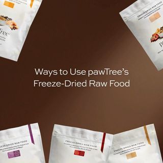 Ways to use pawTree's Freeze-Dried Raw pet food... As their balanced diet, as a food topper or as the purrfect treat! Pick up 2 bags of Freeze-Dried pawTree food and get an ImmunoShroom FREE! Choose from Beef, Chicken, Turkey or the NEW Pork or Wild Alaskan Salmon and Beef! 💚#laughlovebarkmeow