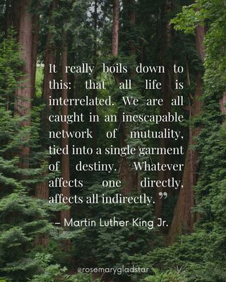Take a few minutes today and read the Reverend Dr. Martin Luther King’s “I Have a Dream” speech in its entirety. 

Comment “free”, and we’ll dm you the link or you can tap the link in our bio @rosemarygladstar 

https://www.npr.org/2010/01/18/122701268/i-have-a-dream-speech-in-its-entirety