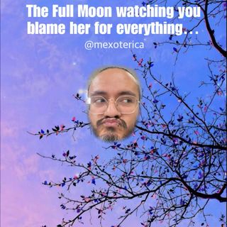 She said “don’t” lol 🌕♌️✨
•
•
•
#mexoterica #fullmoon #leo #february #moon