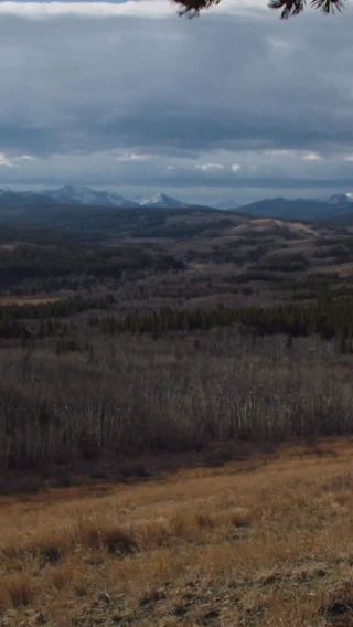 We get to experience the magic of backcountry forests because these areas have been protected by the Roadless Rule for 25 years.

Now, politicians want to get rid of this rule and let the highest bidder cut roads through the forests. Oh yeah, and they’re cutting the public out of the process.

That’s why we’re hosting 7 public meetings across the state - one for each national forest in Montana. Come talk to your neighbors, learn about the land and share your vision for the future of our wild places.

Learn more and RSVP at the link in our bio.
#notforsale #keepitwild #montana