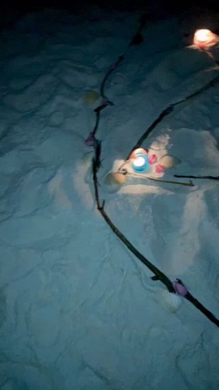 #tbt this was one of the Full Moon rituals I had the honor of doing at the beach. I found most of the things right there (minus the things I brought). I used seaweed, sticks, shells, and drift wood to create a circle of protection. It was a magickal night and I really felt connected to the Moon 🌕🌊✨
•
•
•
#mexoterica #fullmoon #ritual #beach