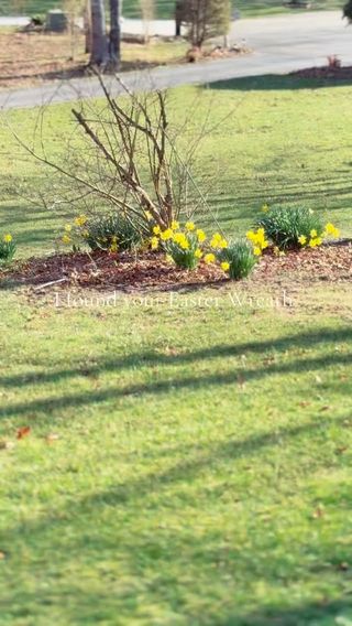 #ad shop here https://amzlink.to/az0Q7fVqcHvyP

Comment SHOP PLEASE for links to the prettiest Easter Wreaths