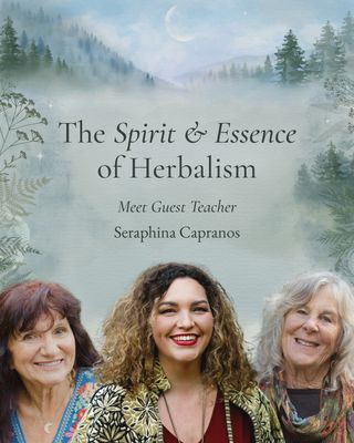 Seraphina Capranos offers a thoughtful look at how homeopathy developed alongside herbalism, and how these traditions can sit respectfully beside one another within a home-based approach to care. 

We're delighted to have her join Rosemary Gladstar and Jane Bothwell as a guest teacher in The Spirit & Essence of Herbalism!

This will be a class rooted in history, context, and practical understanding. Join us at the link in our profile @rosemarygladstar 

https://scienceandartofherbalism.com/product/the-spirit-essence-of-herbalism/