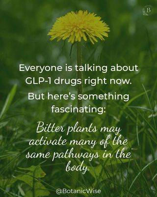 Curious about the science behind herbal bitters?

Join herbalist Guido Masé for a fascinating webinar exploring how bitters influence digestion, metabolism, immunity—and hormones like GLP-1 and PYY.

📅 March 19, 2026
🕕 6:00 pm EDT

This special event also supports beloved herbal elder David Hoffmann, with all proceeds helping cover his medical expenses. David will even be making a special appearance. 🌿

Comment “bitters” below and we’ll send you the link to join.

https://botanicwise.com/shop/programs/webinar-events/bitters-the-body-new-science-ancient-wisdom-with-guido-mase/