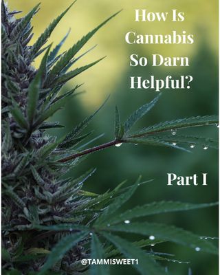 I love understanding how/why things work. As a teacher, I understand knowing how/why empowers people. Knowing how/why allow YOU to ask informed questions and make informed decisions. 

Were you surprised to learn you could mix your THC/CBD flowers to make a 1:1?

The cool kids call it a salad. (ok, maybe just me and my friends 😜)

Come join the cool kids at my Webinar next Wednesday, March 28th. 🥳😎
https://heart-stone.com/hows-it-growing/
 #cannabis  #cannabisismedicine #cannabis #herbalmedicine