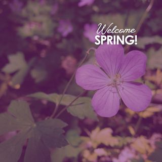 🌷☔⛅🌱🐦 

Spring, we are ready for you! Longer days, warmer temps and fresh air are on their way—time to get outside and enjoy the fresh start this season brings.