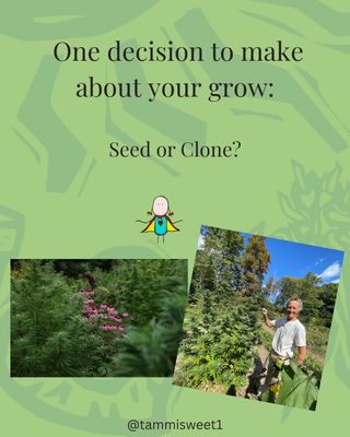 Join me for FREEEEEE!  https://heart-stone.com/hows-it-growing/
