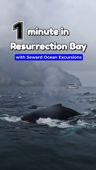 Sometimes, the best soundtrack is Alaska itself. 🐋

Out on Resurrection Bay with Seward Ocean Excursions, there’s no rush and no set route—just time to linger as humpback whales surface, dive, and move through these wild waters. With only six guests aboard, every moment feels personal, whether you’re watching a breach, listening to the exhale, or soaking in the quiet between sightings.

This is whale watching the way it should be: unhurried, immersive, and unforgettable.

Check out the link in our bio to learn more!

alaska | travel | whale watching | adventure | summer | explore

#YouNeedAlaska #VisitAlaska