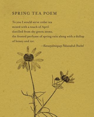 If the world seems like too much…too much pain, too much heartache, too much loss…remember that our sweet Mother Earth is still holding us. Spring has arrived. The plants still offer us medicine. The world is still full of beauty and joy…even when we have to work a little harder to see it. 

Invite a friend over, make a pot of Chamomile tea, and read a few excerpts from my book “The Generosity of Plants.” May it soothe your heart and feed your soul. 

And if that doesn’t help, do as the kids like to say these days…go touch grass (just learned this phrase!) 🌷🌸🪻🐣

P.S. If you don’t have “The Generosity of Plants”, you can order it at the link in my bio @rosemarygladstar 

https://scienceandartofherbalism.com/product/the-generosity-of-plants/