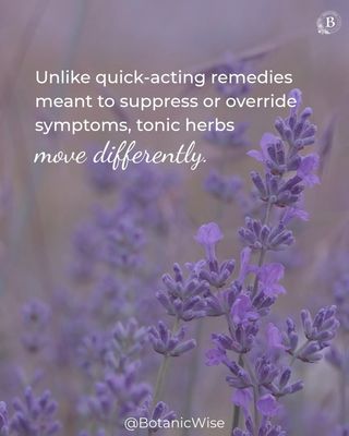 What if we stopped waiting for crisis…
and started strengthening what already wants to thrive?

In a world that moves fast and reacts quickly, tonic herbalism offers something steadier.

Comment tonic and we’ll send you a link to learn more. Or tap the link in our B I O @botanicwise 

https://botanicwise.com/shop/programs/courses/the-tonic-way-an-invitation-to-remember-with-guido-mase/