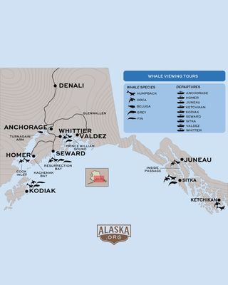 🐋 Alaska Whale Watching Tours

Humpbacks. Orcas. Even gray whales. And yes… you can even kayak with them!

From glacier-fed waters in Juneau to the wildlife-rich Kenai Fjords, Alaska offers some of the most diverse whale watching on the planet — with 9 departure points across the state to choose from.

📍 Locations include:
Seward, Juneau, Hoonah/Icy Strait, Glacier Bay, Whittier, Valdez, Sitka, Ketchikan, and Homer

🗓 Best season: May–September

If seeing whales isn’t enough… how about paddling beside them? 

Check out the link in our bio to learn more!

Alaska | whale watching | adventure

#YouNeedAlaska #AlaskaTravel #WhaleWatching