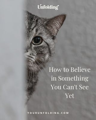 One of the things I hear most from the women I work with: I want to believe in this, but I don't know how to get there when it still feels so far away.

Here's what I've learned, both from my own experience and from the research. You don't build belief by thinking harder. You build it by doing, even in tiny ways, especially in tiny ways.

Bandura's research on self-efficacy is clear on this: the most powerful builders of belief are mastery experiences, those small moments of following through on what you said you would do. Every kept promise to yourself is evidence that you can be trusted. And that evidence accumulates.

A few other practices that work. Visualize the process, not just the outcome. UCLA research found that people who imagined doing the work, not just celebrating it, performed significantly better. Keep a running record of hard things you've already done; our brains default to noticing what's missing, so this is a counterweight. Curate your community toward people who are building boldly. And pay attention to the language you use about your own dreams. "I'm trying to" and "I am building" are not the same sentence.

None of this is a shortcut. It's a practice. And like any practice, it compounds.

The full breakdown, with all six belief-building practices, is in the blog. 

#YourUnfolding #AlignedAmbition #InnerWisdom #IntentionalLiving

Hi, I'm Laura and I partner with accomplished women to align their lives, personally and professionally, around what matters most - I'd love to connect and learn more about you.

https://www.instagram.com/yourunfolding/