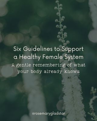 Over the years, I’ve seen again and again how the body responds when it’s truly nourished and cared for.

These are simple yet powerful guidelines.
They’re not complicated, but they bring us back to what matters: nourishment, rest, balance, and our relationship with the plants.

You don’t have to do everything at once.
Start where you are. Let it be enough.

If you’d like to begin with a nourishing herbal tonic, comment “tonic” and we’ll share a favorite blend with you.

This is at the heart of our new learning series She Who Remembers—
returning to the kind of wisdom that has always been passed from one woman to another. 🌿

Join me and @jkb.journal now for our early bird registration—we begin May 28!

https://scienceandartofherbalism.com/swr