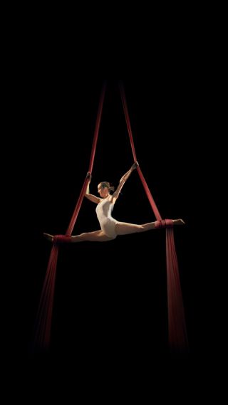 Be the first to re-open the historic Judy Morr Theater at Circa: Eternity! 👏

Be one of the first to enjoy breathtaking acrobatics and spiritual reflection in this intimate space once closed to the public! This production is reimagined to fit the scale and intimacy of the Judy Morr Theater, a performance space that has not been utilized for public presentations in over a decade! ✨

Get your tickets now! ➡️ https://go.scfta.org/Eternity26