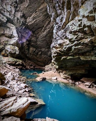 To this day, Devilstep Hollow Cave/Head of Sequatchie Springs remains one of our favorite conservation projects. This Tennessee treasure was brought to TennGreen's attention more than a decade ago by, friend and former Board member, Bob Brown. Although the land was far outside of TennGreen's price range, Bob insisted that we pursue it—suggesting that it was so valuable, so historic, and so scenic that it should be a national park.

Read the full conservation story via the link in bio.